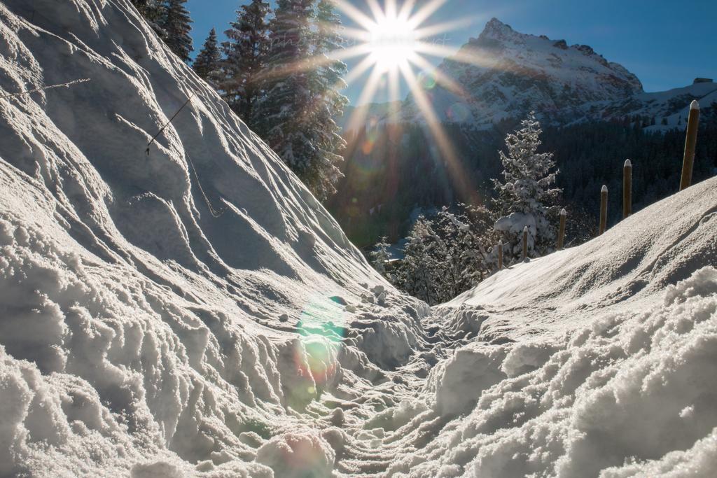 Hotel Bradabella - Montafon غارغيلين المظهر الخارجي الصورة